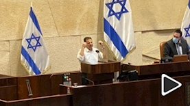 איימן עודה נואם, צילום: טוויטר תמר זנדברג